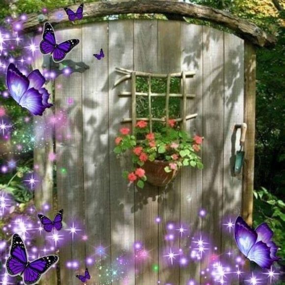 Meet your Posher, Dorothy - Picture 1 of 1